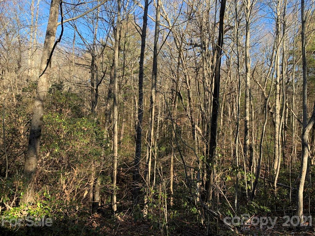 14 Liz Reece Road, Unit 14 Rosman, NC 28772 - Photo 14 of 17 Gallery Image 14