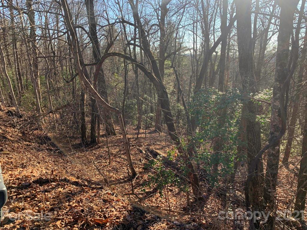 14 Liz Reece Road, Unit 14 Rosman, NC 28772 - Photo 15 of 17 Gallery Image 15