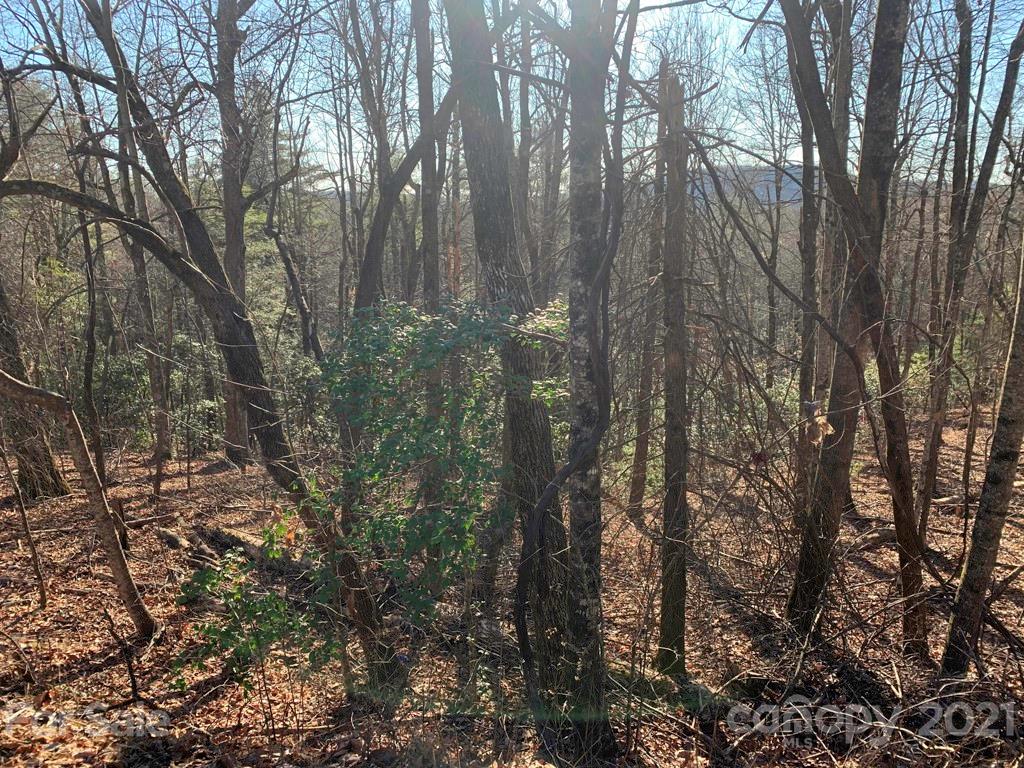 14 Liz Reece Road, Unit 14 Rosman, NC 28772 - Photo 16 of 17 Gallery Image 16