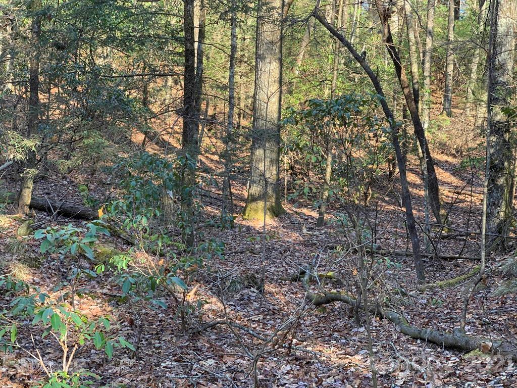 14 Liz Reece Road, Unit 14 Rosman, NC 28772 - Photo 8 of 17 Gallery Image 8