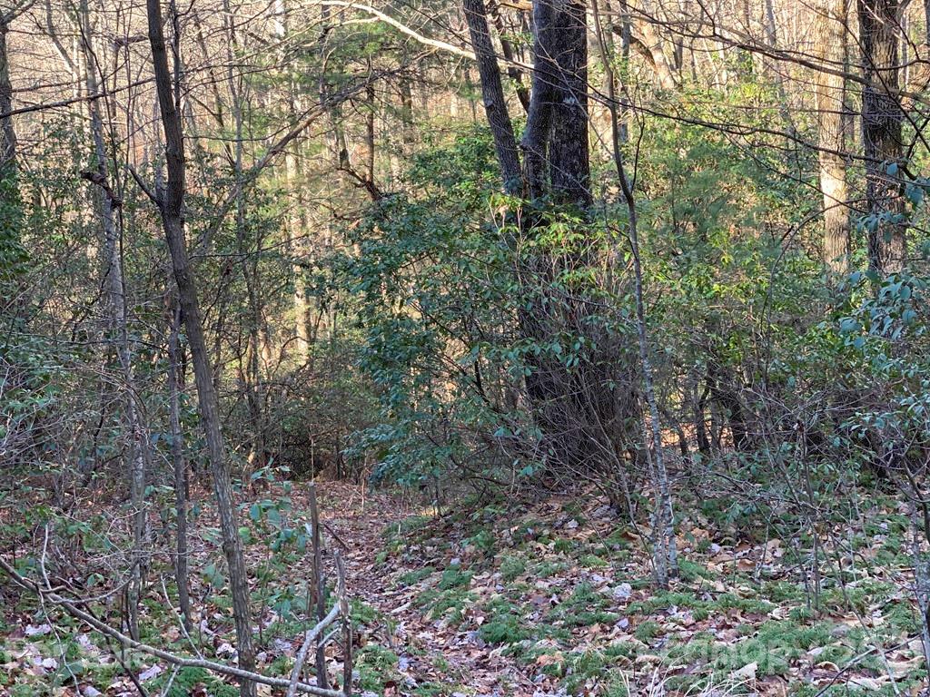 14 Liz Reece Road, Unit 14 Rosman, NC 28772 - Photo 9 of 17 Gallery Image 9