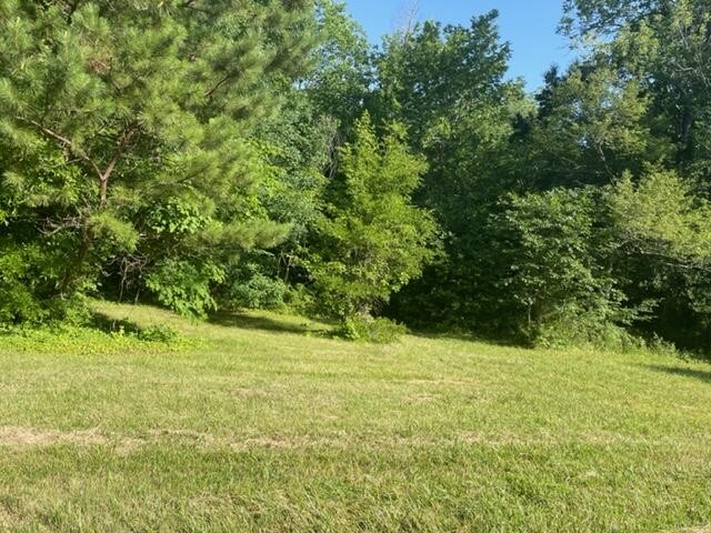 84548460 Chambers Road Chattanooga, TN 37421 - Photo 11 of 23 Gallery Image 11