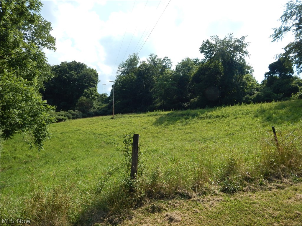 Smithville Road Harrisville, WV 26362 - Photo 6 of 23