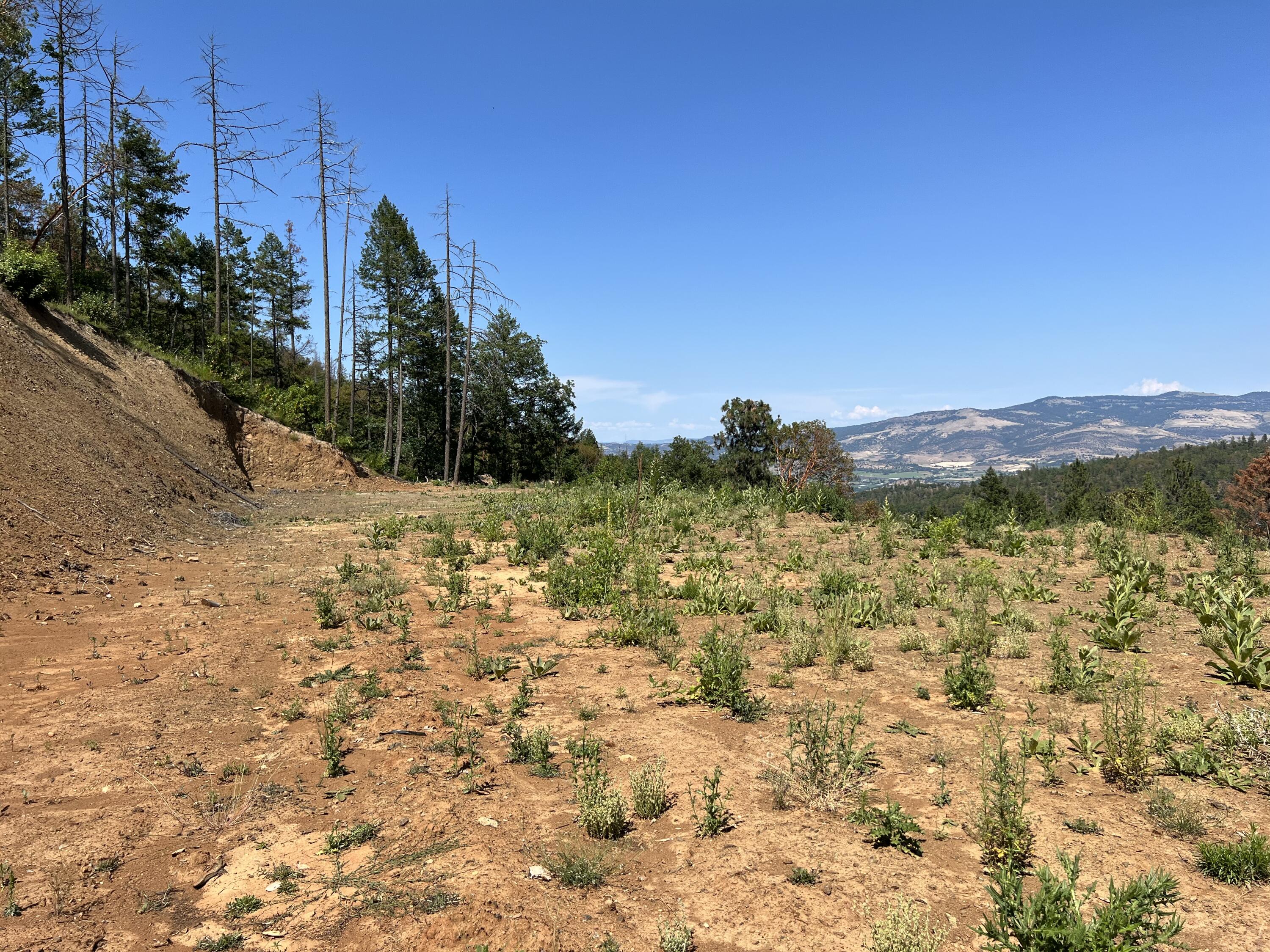 6744 Coleman Creek Road Medford, OR 97501 - Photo 20 of 21 IMG_8979