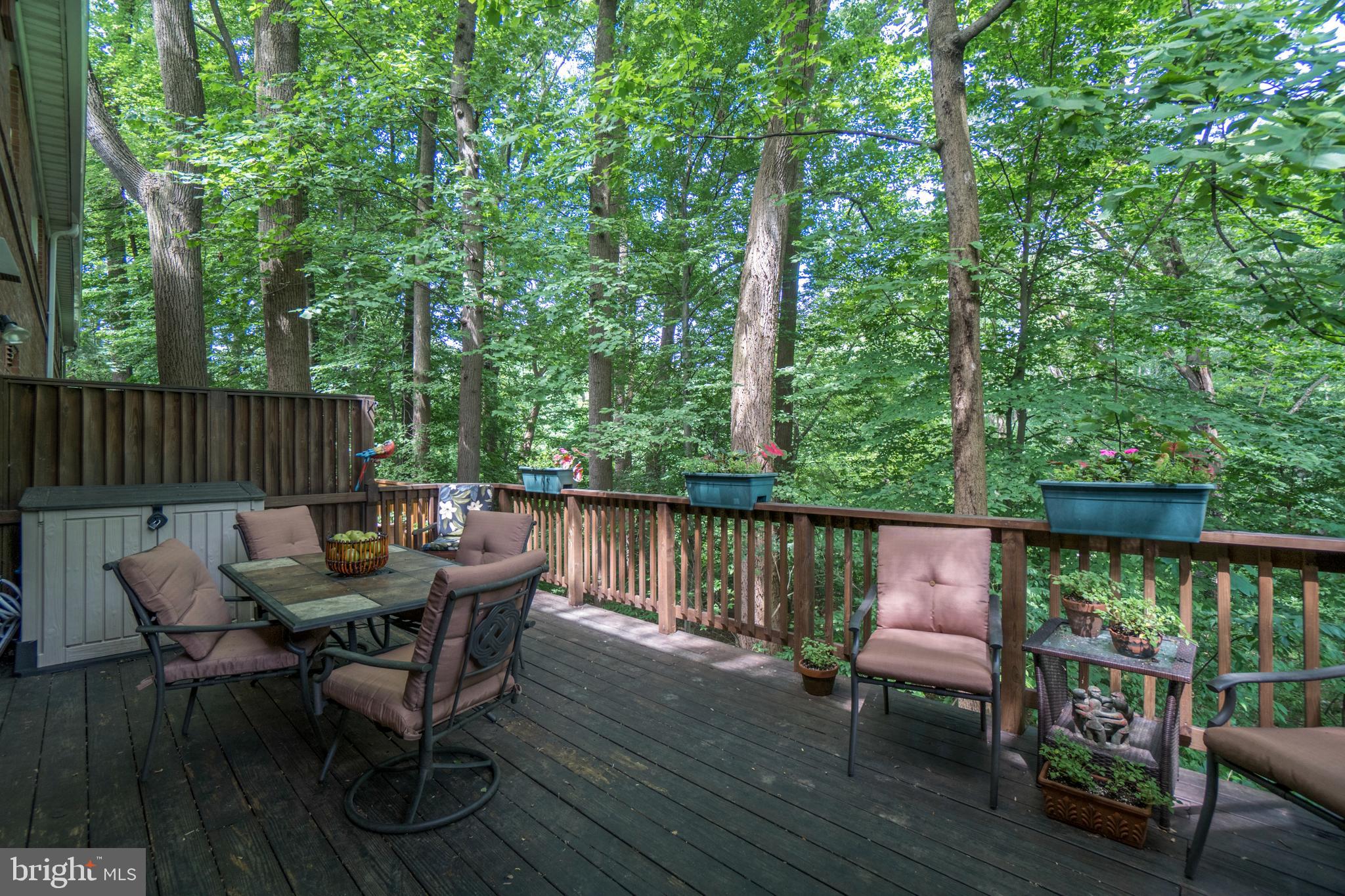 8524 Bradford Road, Unit 46 Silver Spring, MD 20901 - Photo 14 of 34