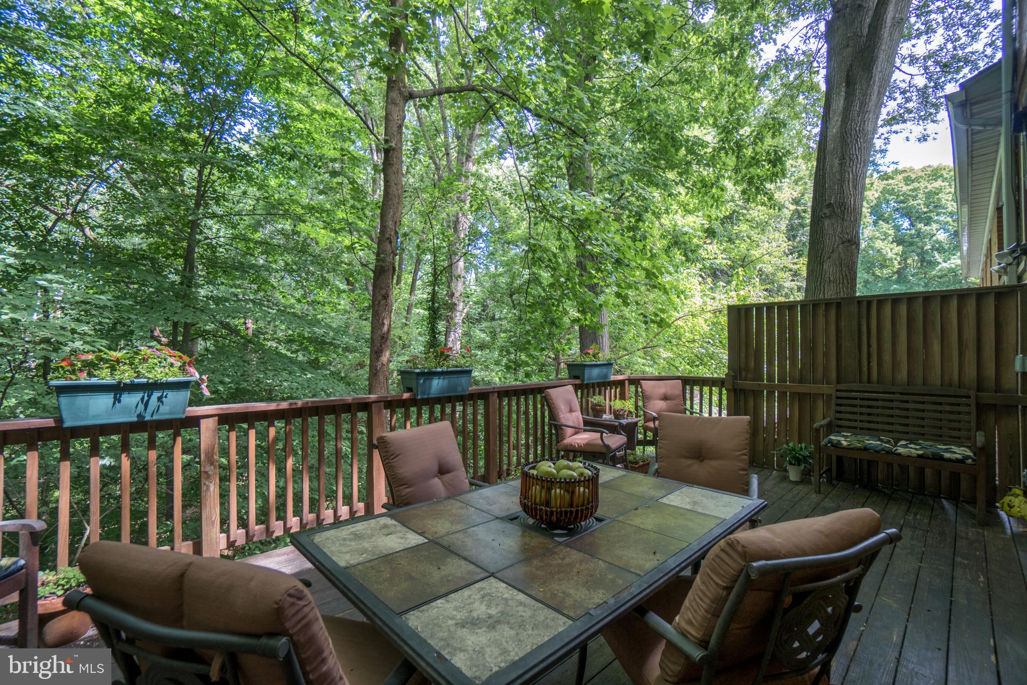 8524 Bradford Road, Unit 46 Silver Spring, MD 20901 - Photo 16 of 34