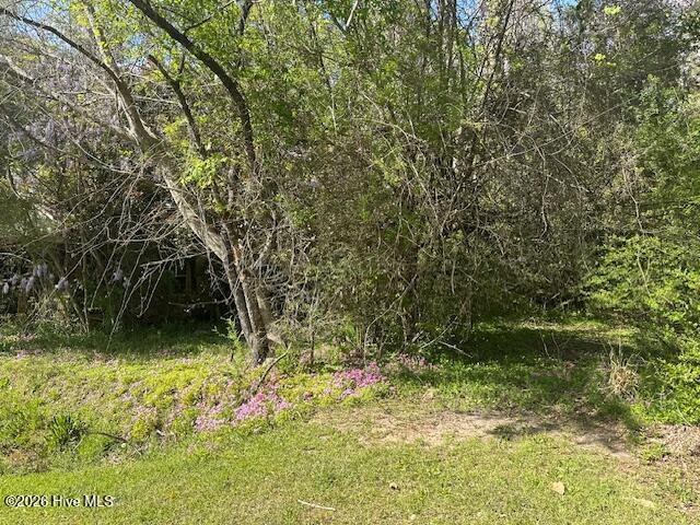 408 Mill Quarter Road Hallsboro, NC 28442 - Photo 1 of 6 IMG_9029