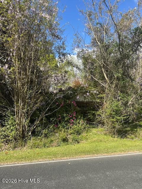 408 Mill Quarter Road Hallsboro, NC 28442 - Photo 2 of 6 IMG_9026