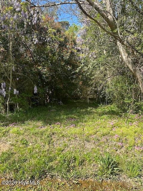 408 Mill Quarter Road Hallsboro, NC 28442 - Photo 3 of 6 IMG_9027