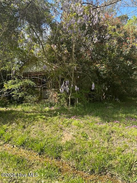 408 Mill Quarter Road Hallsboro, NC 28442 - Photo 4 of 6 IMG_9028