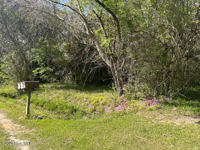 408 Mill Quarter Road Hallsboro, NC 28442 - Photo 5 of 6 IMG_9030