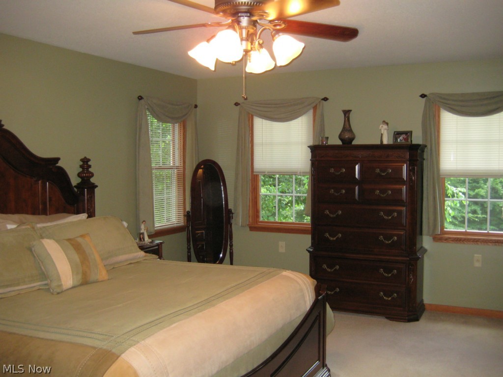 7395 Cool Road Canfield, OH 44406 - Photo 12 of 24 Gallery Image 12