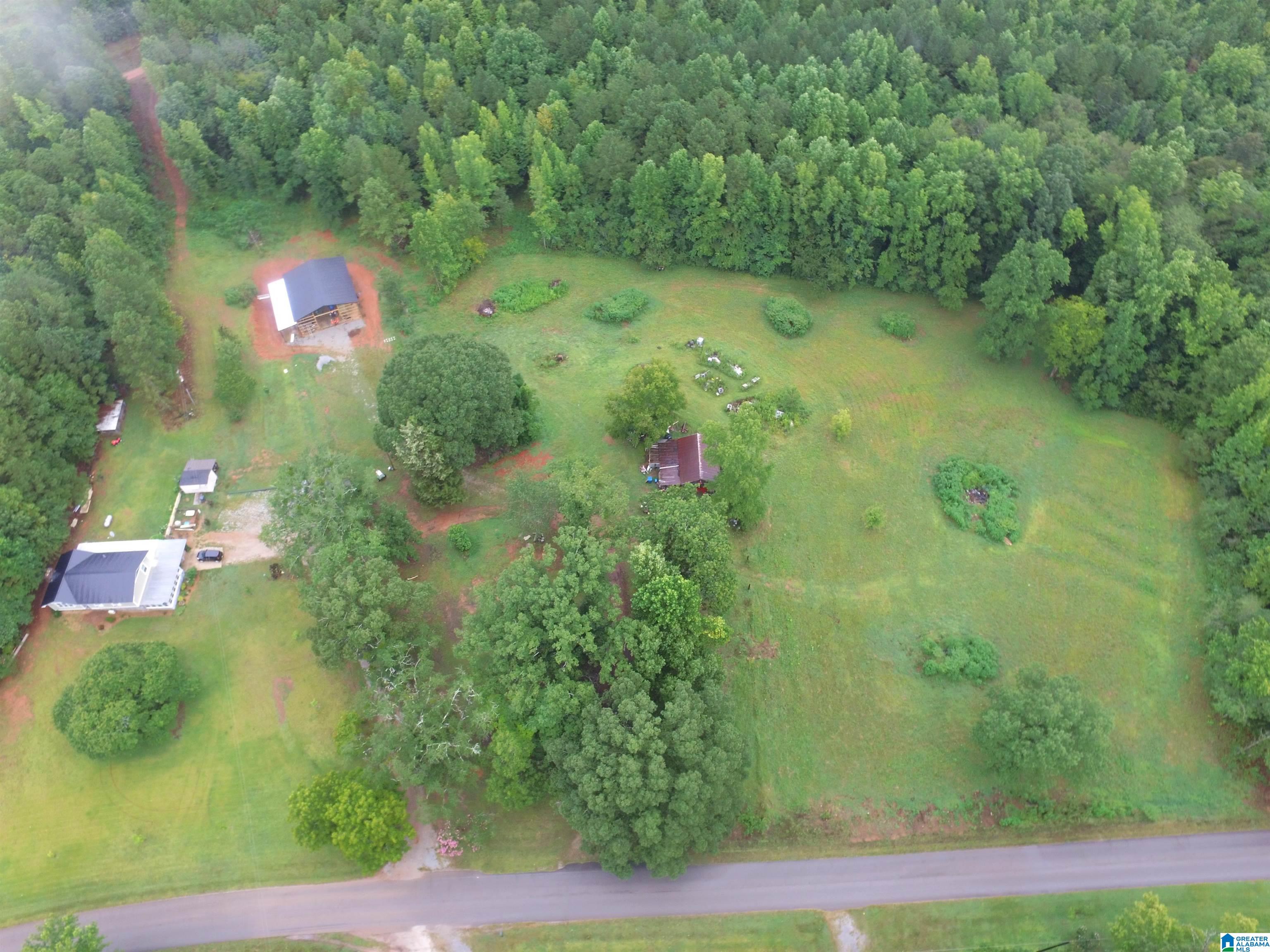 889 Lees Bridge Road Delta, AL 36258 - Photo 1 of 25