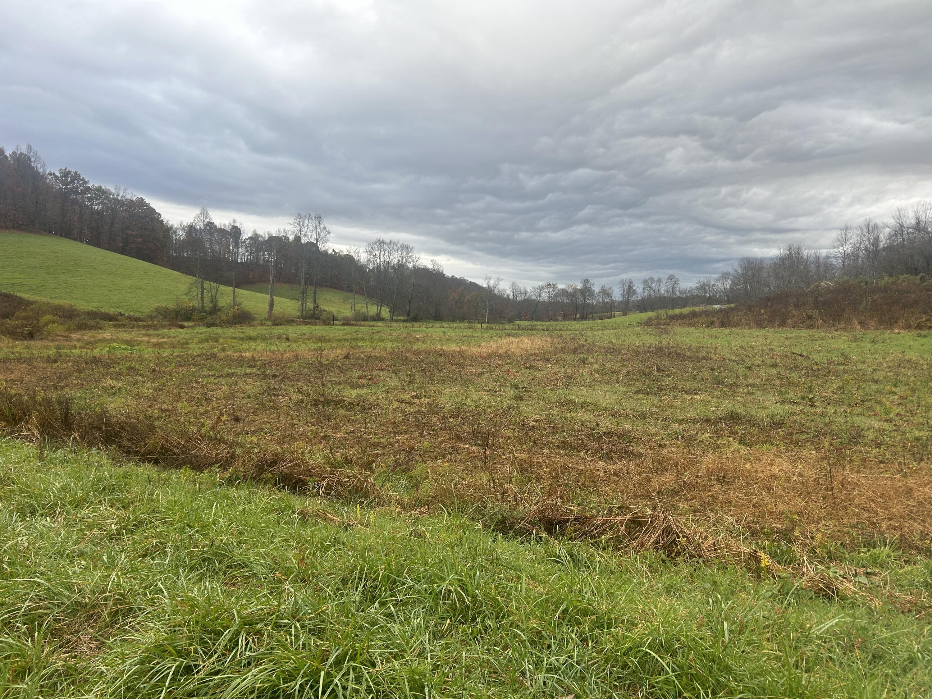 9999 Clyde Benge Road London, KY 40741 - Photo 11 of 13 Clyde B 3