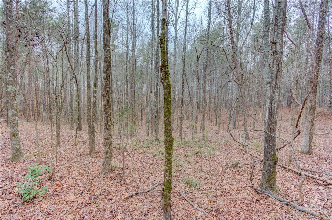 0 Sunshine Church Road Toccoa, GA 30577 - Photo 2 of 7 Gallery Image 2