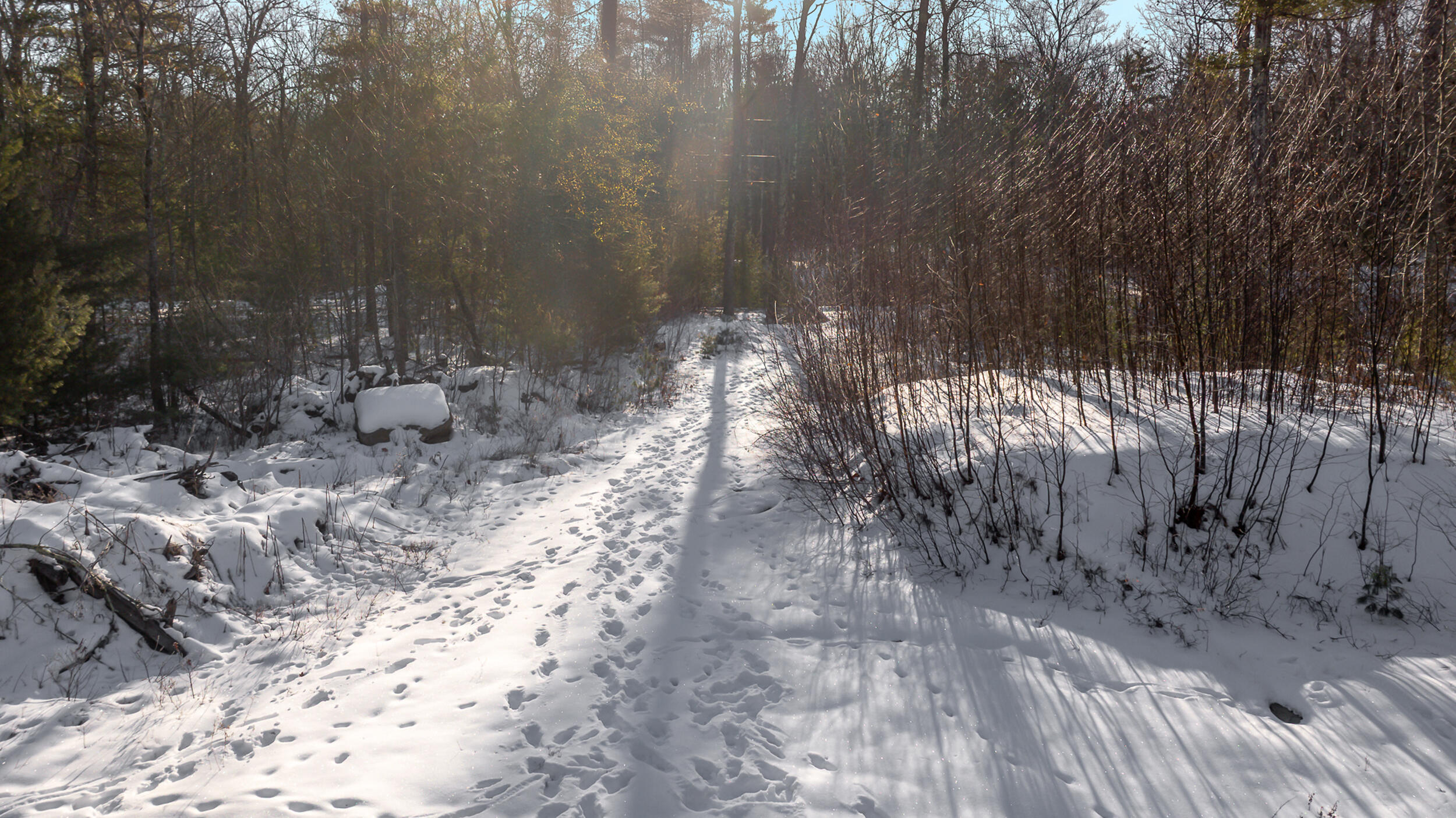 71-5 Bennett Lot Road South Berwick, ME 03908 - Photo 8 of 15 7_dji_20251215022902_0100_d-hdr-edit