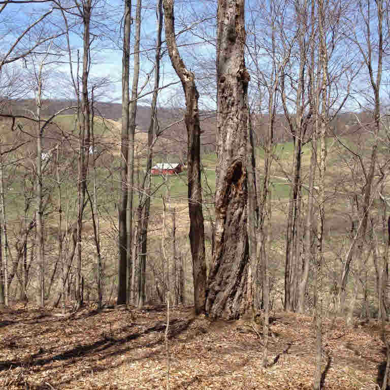 0 Poorhouse Farm Road North Amherst, VA 24521 - Photo 5 of 5 Gallery Image 5