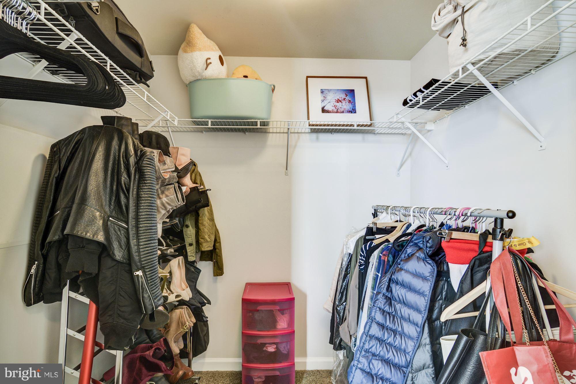 2726 Gallows Road, Unit 1501 Vienna, VA 22180 - Photo 21 of 25 Generous Closet with Fresh Paint and New Carpet
