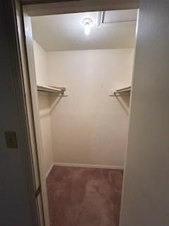 1302 Crescent Street Denton, TX 76201 - Photo 15 of 24 Walk in closet with dark colored carpet