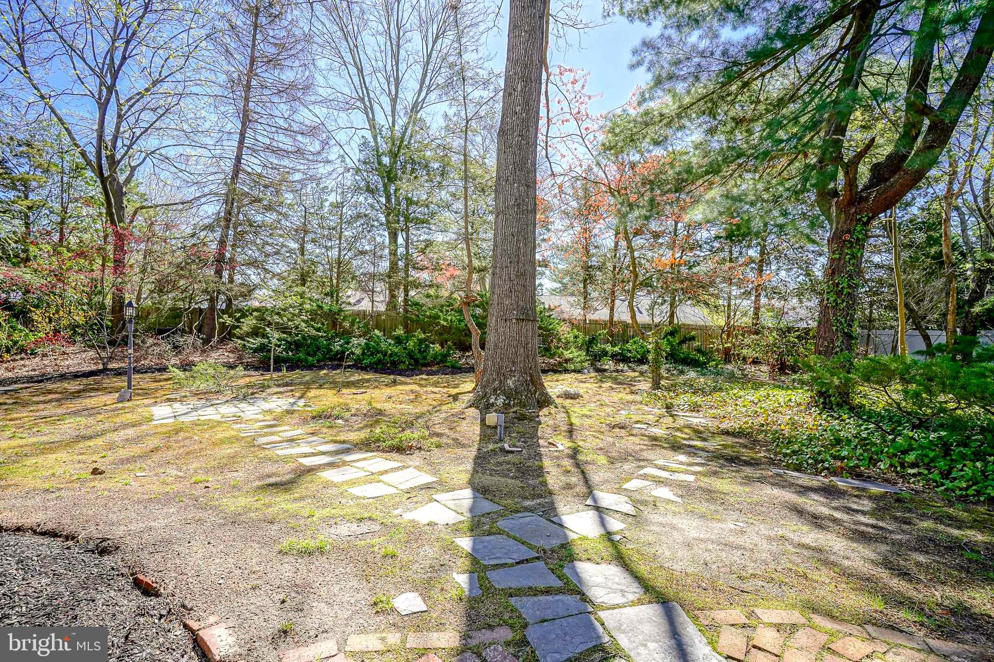 511 Boundary Road Pitman, NJ 08071 - Photo 35 of 36 a view of a yard with trees