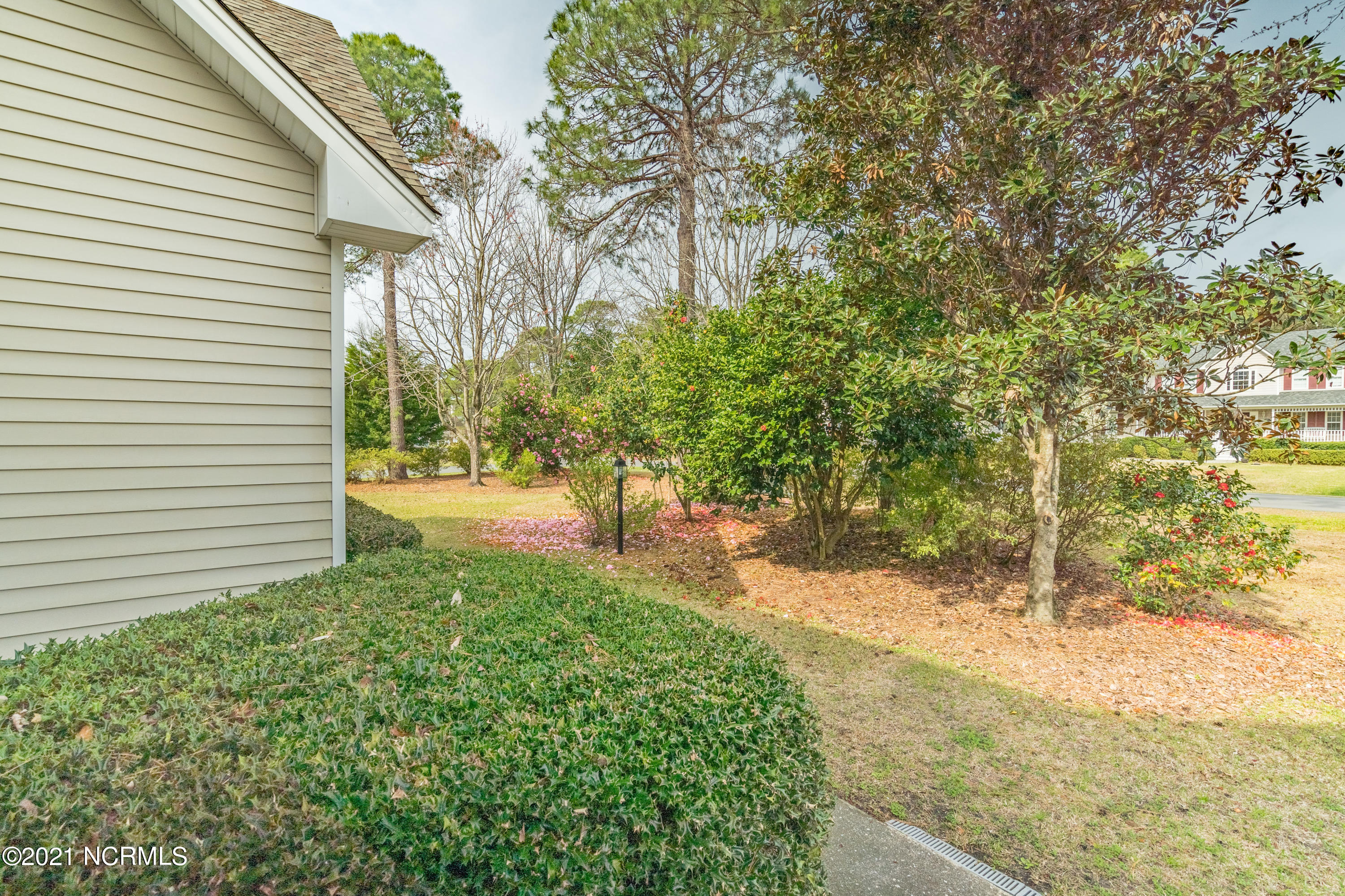 7600 Lost Tree Road Wilmington, NC 28411 - Photo 24 of 38 Left side yard looking toward the front yard
