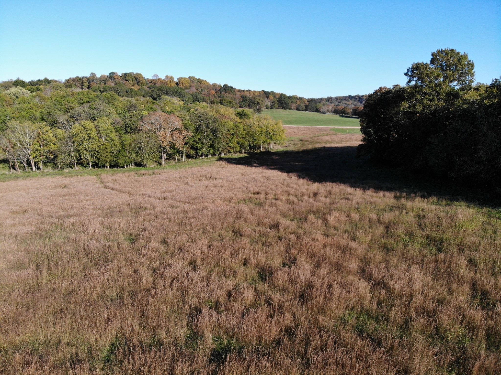 6 Carl Road Franklin, TN 37064 - Photo 2 of 22 a view of lake with mountain