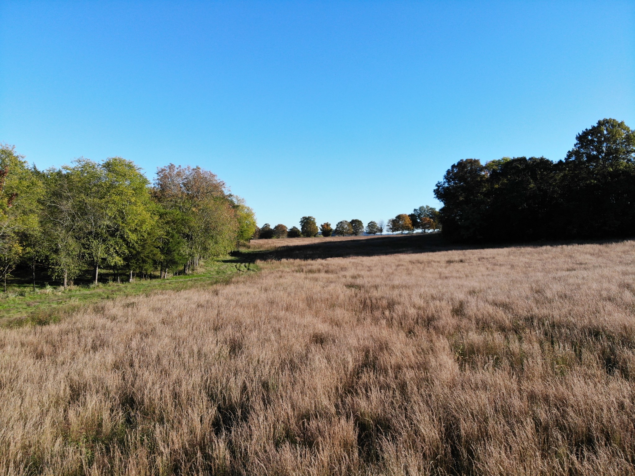 6 Carl Road Franklin, TN 37064 - Photo 20 of 22 a view of ocean view with large trees
