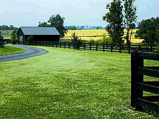404 Duvall Station Road Georgetown, KY 40324 - Photo 7 of 8 Photo 7