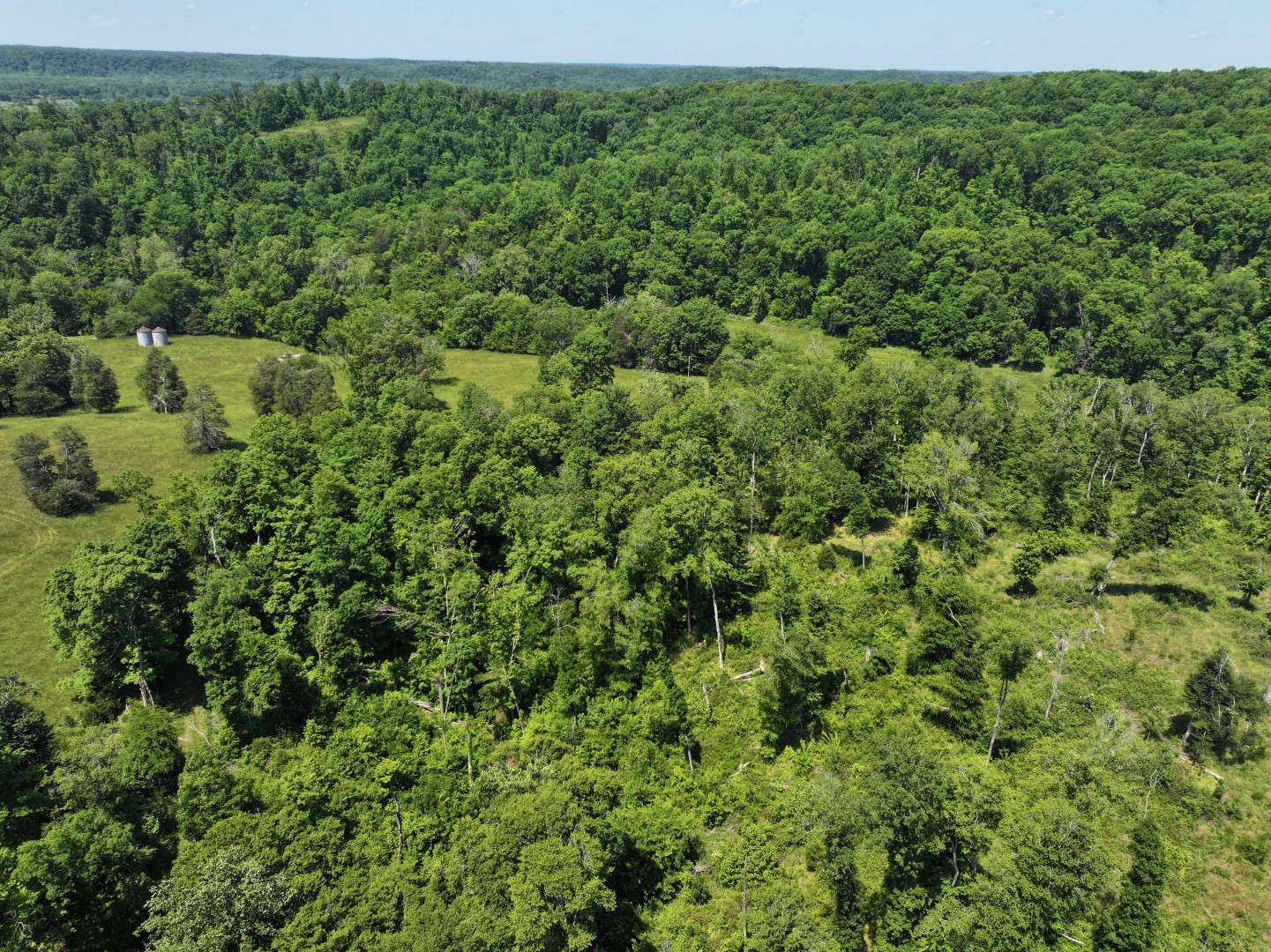 110 Wade Reed Road White Bluff, TN 37187 - Photo 36 of 80