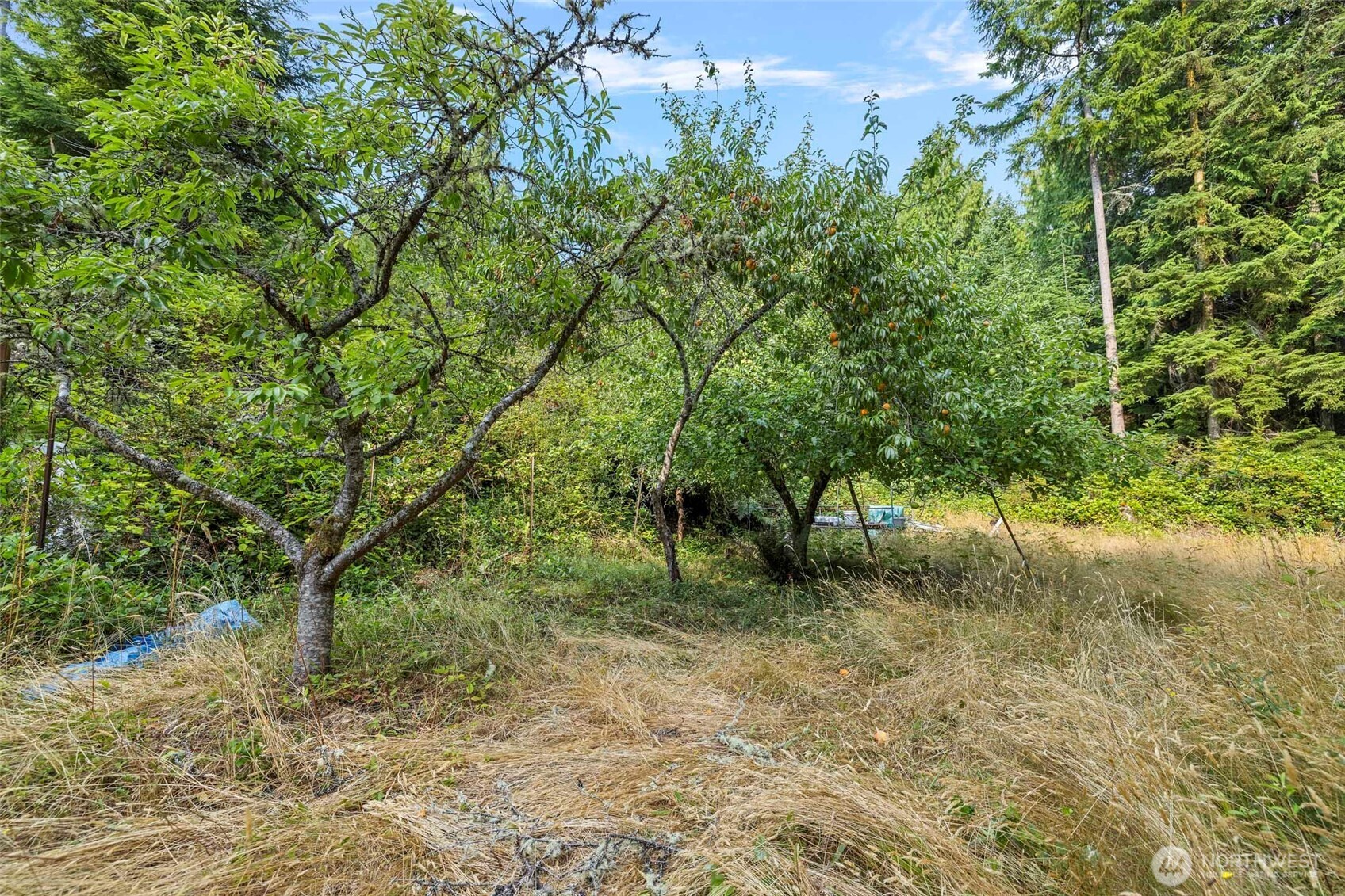 7589 Bailey Road Clinton, WA 98236 - Photo 38 of 40