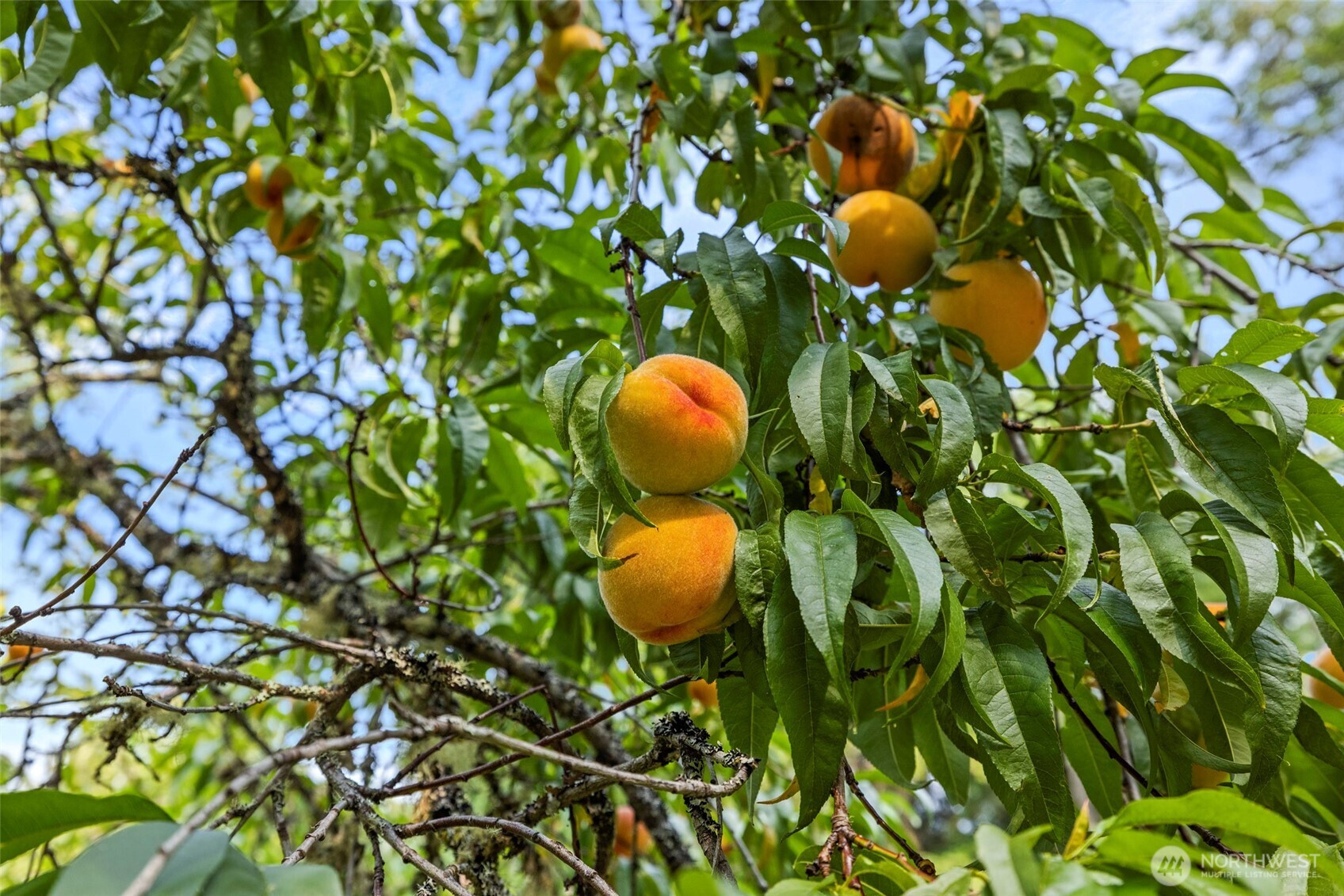 7589 Bailey Road Clinton, WA 98236 - Photo 39 of 40