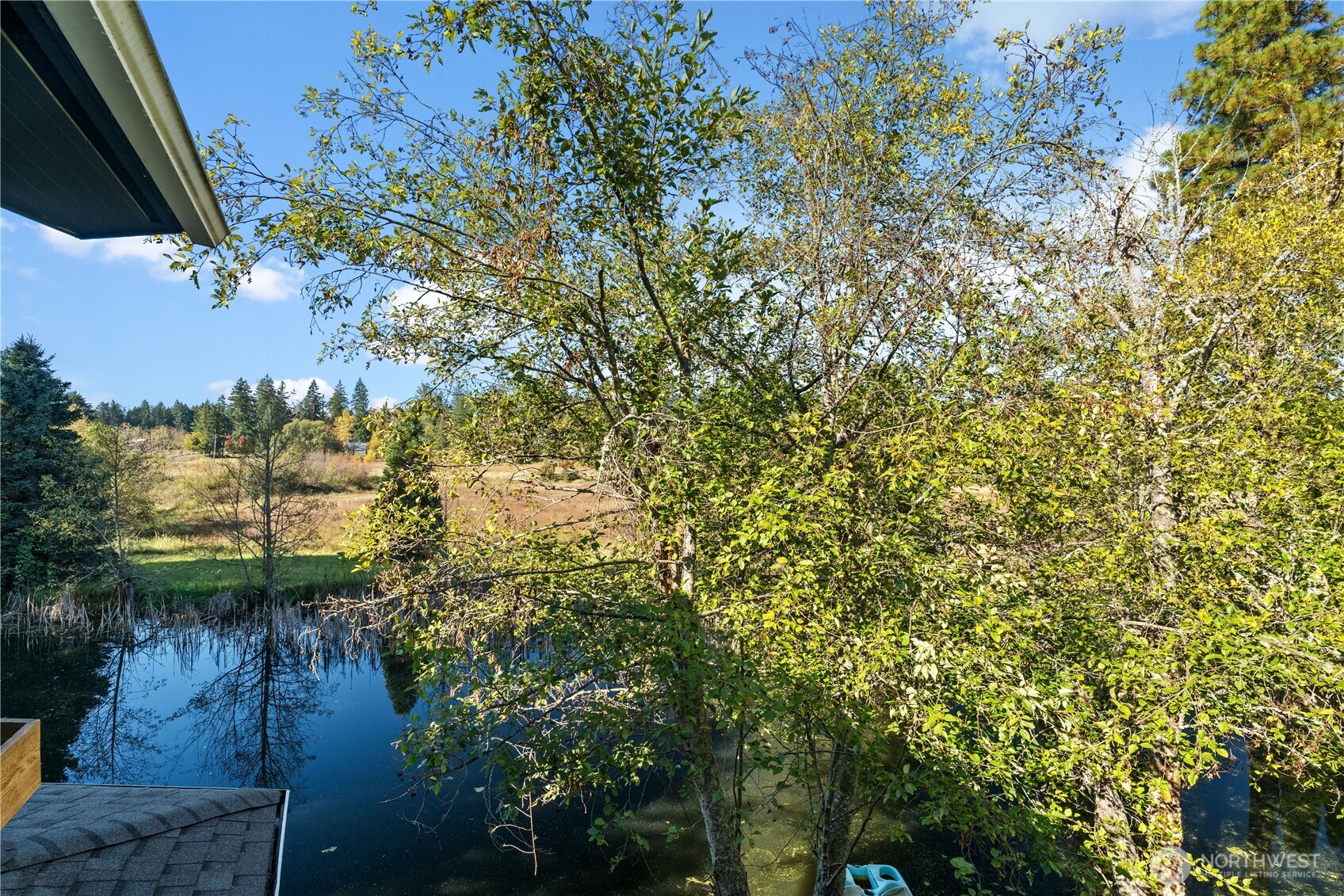 1305 336th Street South Roy, WA 98580 - Photo 13 of 40 a view of a yard with plants and wooden fence