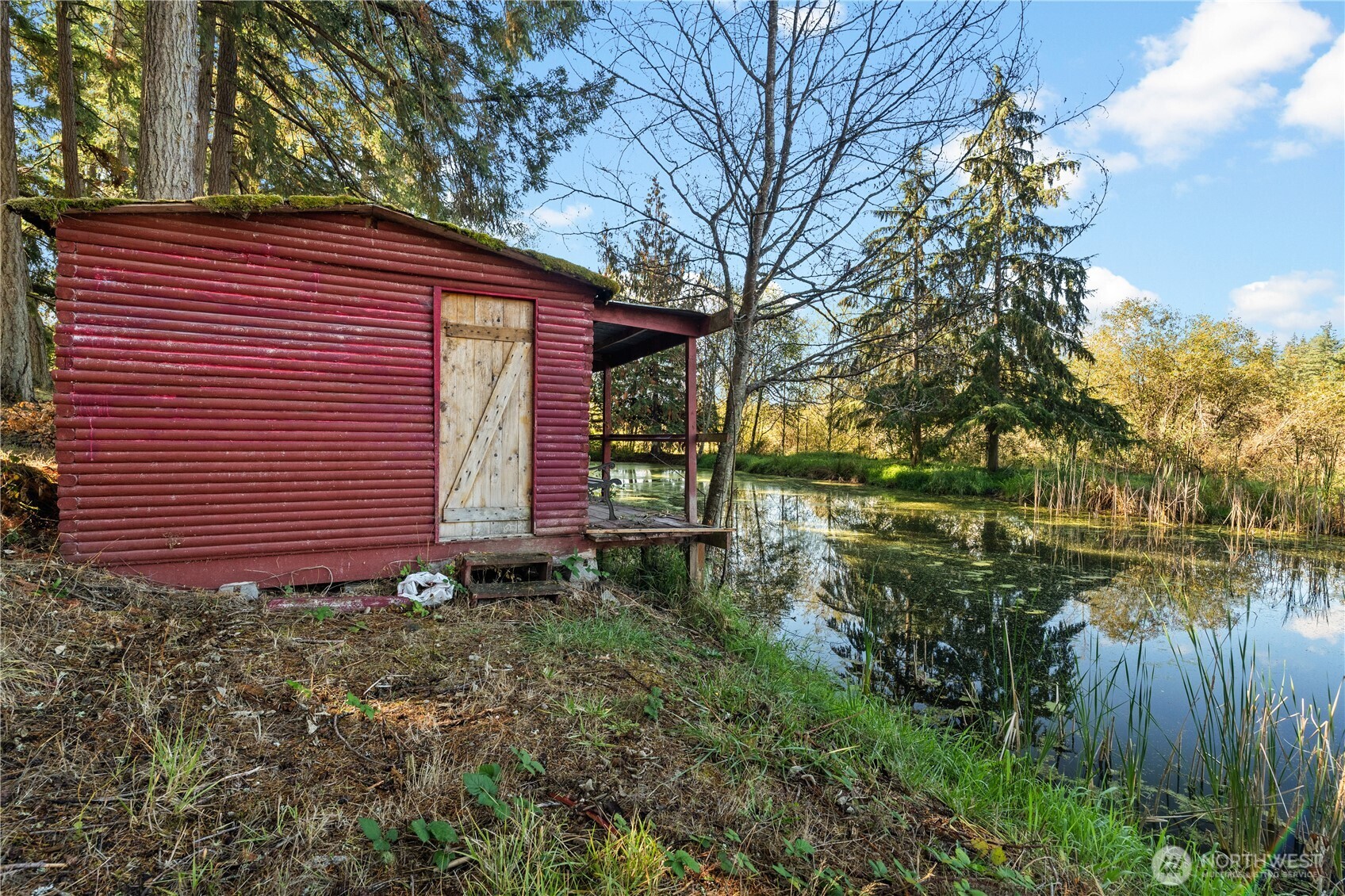1305 336th Street South Roy, WA 98580 - Photo 31 of 40 a view of a backyard with plants and large tree