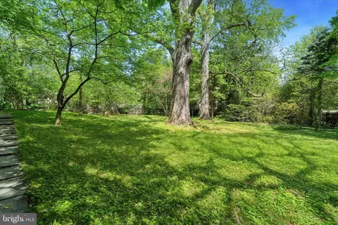 a big yard with lots of green space and deers