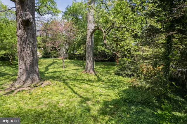 a view of a backyard with large trees