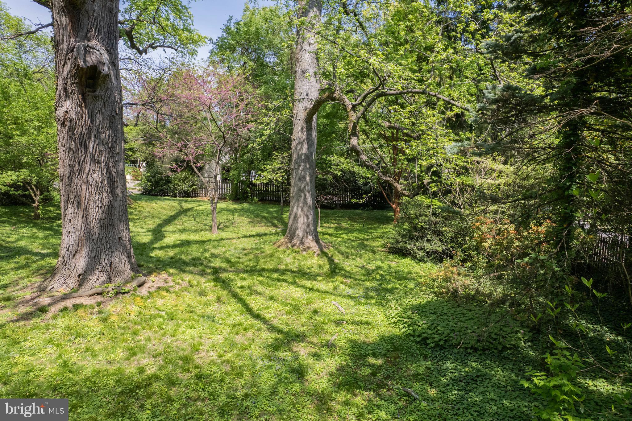 8408 Prospect Avenue Philadelphia, PA 19118 - Photo 5 of 11 a view of a backyard with large trees