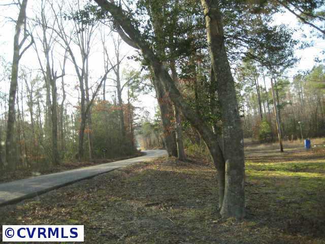 3115 Upshaw Road Aylett, VA 23009 - Photo 7 of 7 Other