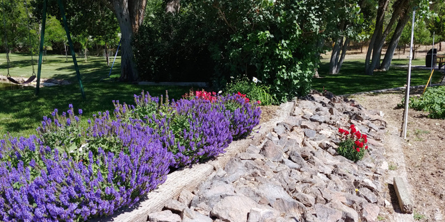 1040 West Mill Road Ferron, UT 84523 - Photo 82 of 117 Manicured landscaping featuring vibrant purple and red floral plantings, a rock garden, and a sprawling grassy area with mature trees