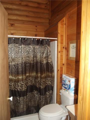 115 Rue Des Rindler Alpine, TN 38543 - Photo 5 of 13