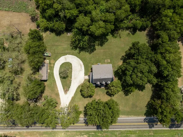 a close up of a flower in a garden