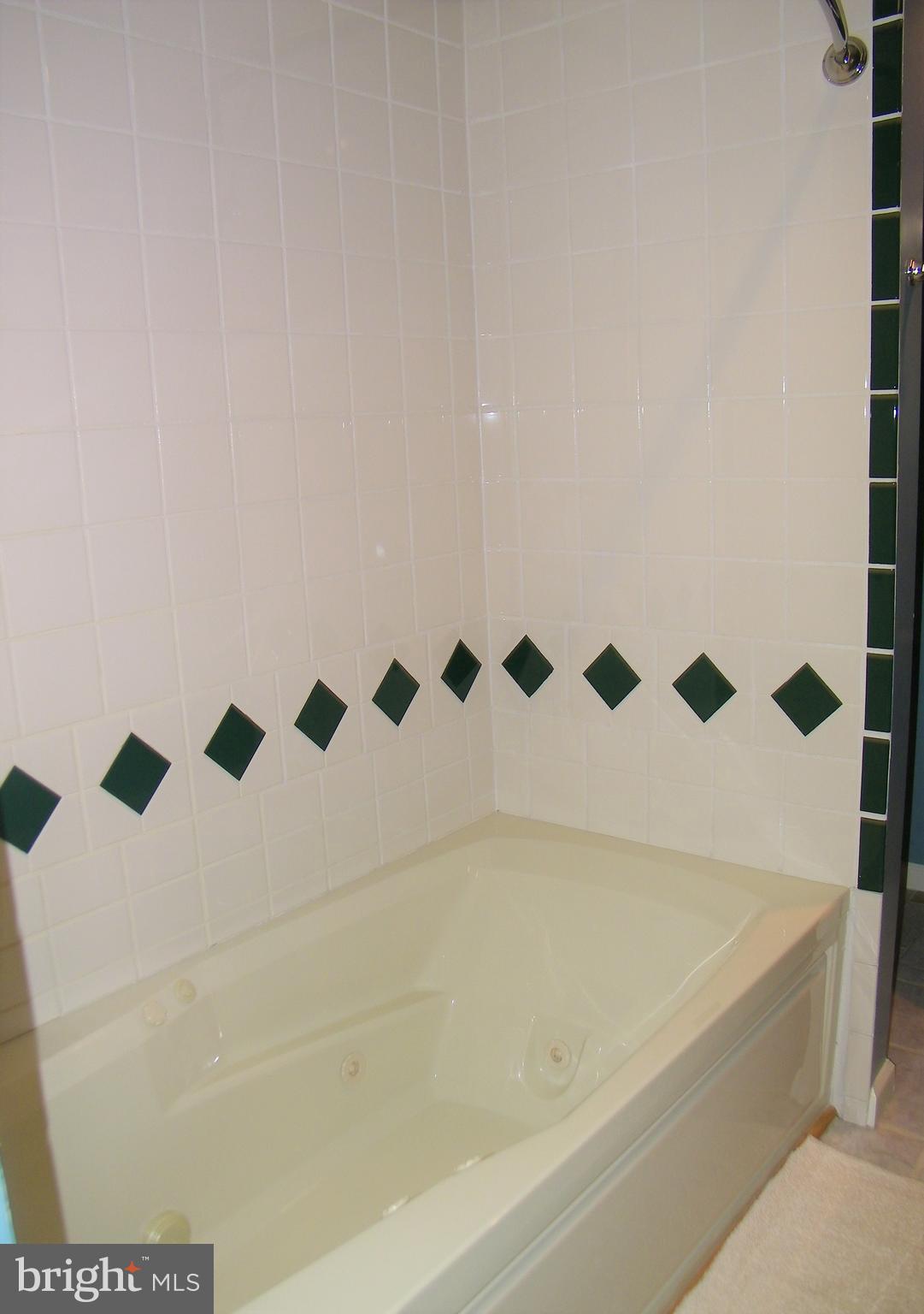 12649 High Sierra Road Lusby, MD 20657 - Photo 26 of 41 Basement Bath