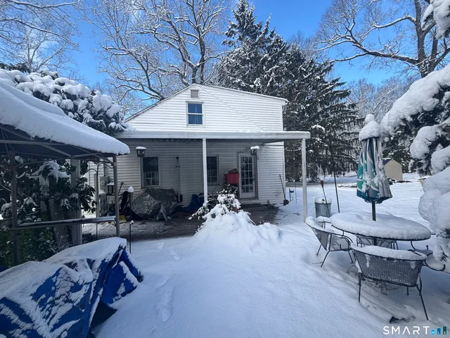 a view of a dry yard with trees