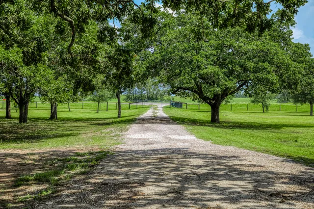 a view of a park with tree s