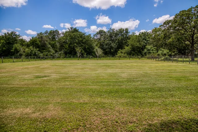 a view of an ocean from a yard