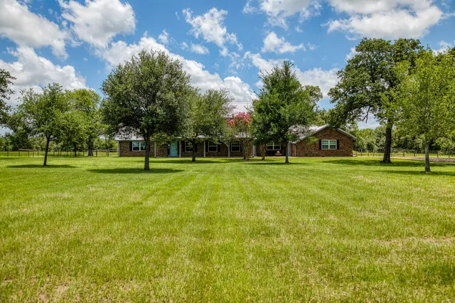 a view of a trees in a park