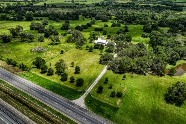 a view of a garden with an trees