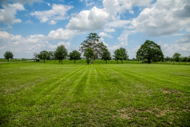 a backyard of a house with lots of green space