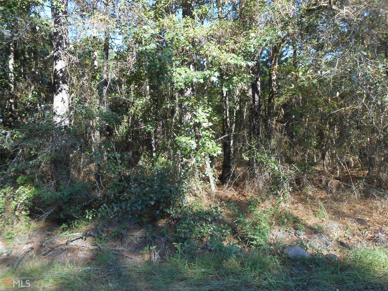 0 Clarks Bluff Road, Unit LOT 62 Kingsland, GA 31548 - Photo 1 of 1 Gallery Image 1