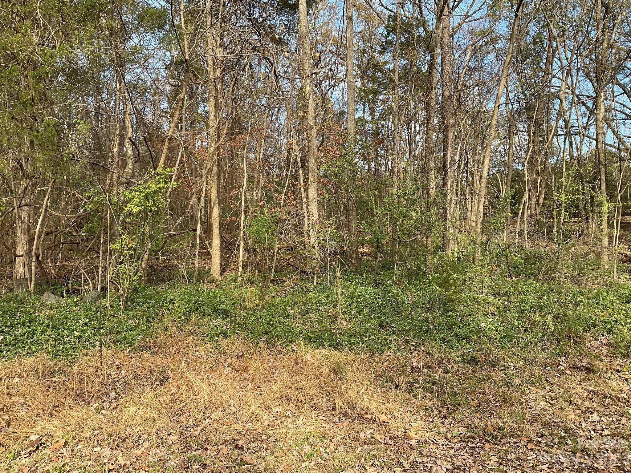 11127 Johnson-Davis Road Huntersville, NC 28078 - Photo 3 of 4 Gallery Image 3