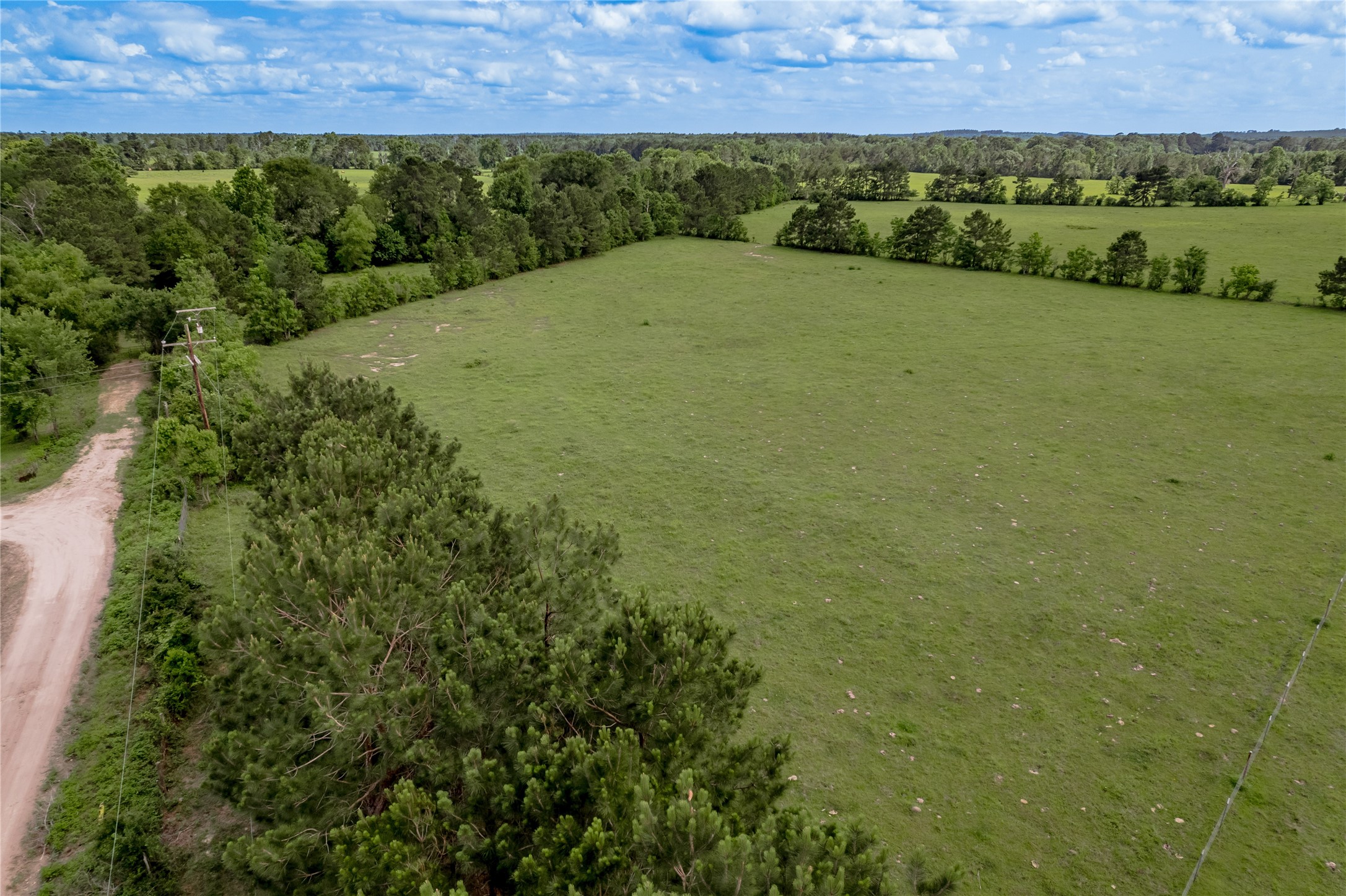 Tbd Turner Street Groveton, TX 75845 - Photo 9 of 10